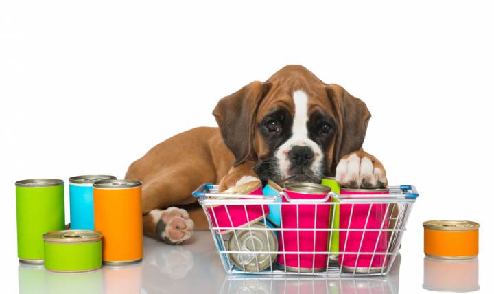 3 Beneficios del Alimento Húmedo (Sobres o Latas) para tu perro